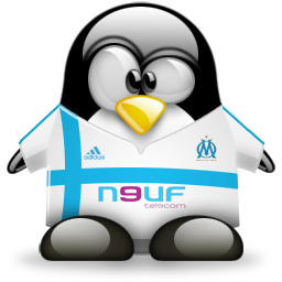 penguin pingouin pinguino 591